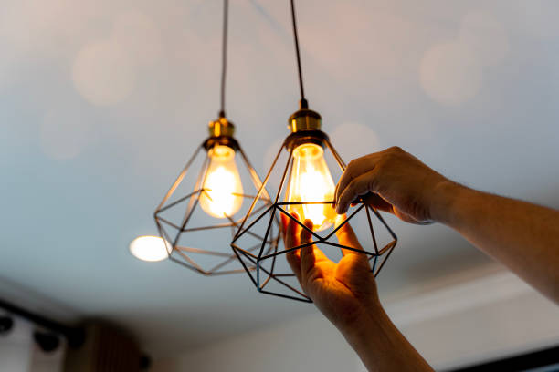 Best Circuit Breaker Repair  in Falcon Heights, MN